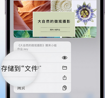 牡丹apple维修中心分享iPhone文件应用中存储和找到下载文件