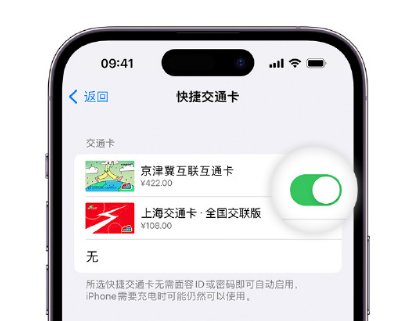 牡丹apple维修点分享iPhone上更换Apple Pay快捷交通卡手绘卡面 