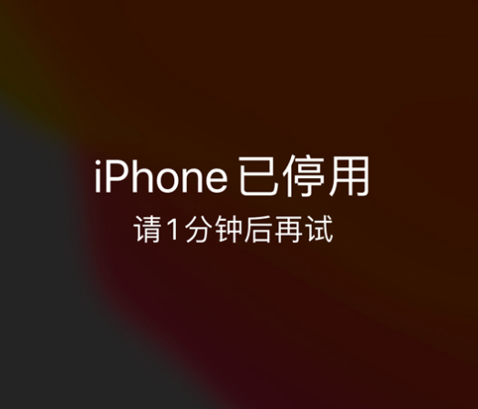 牡丹苹果手机维修分享:iPhone 显示“不可用”或“已停用”怎么办？还能保留数据吗？ 