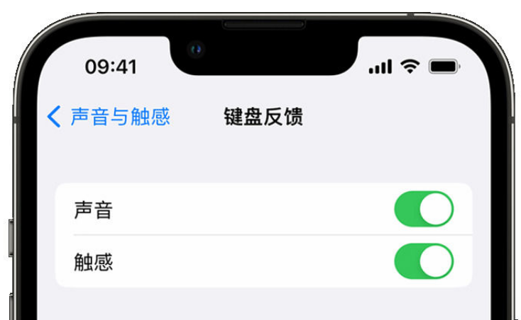 牡丹苹果手机维修分享iPhone 14触感键盘使用方法 