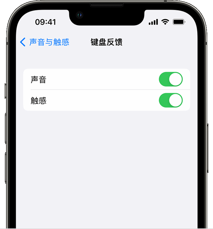 牡丹苹果14维修店分享如何在 iPhone 14 机型中使用触感键盘 