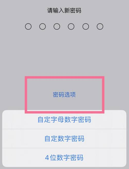 牡丹苹果14维修分享iPhone 14plus设置密码的方法 