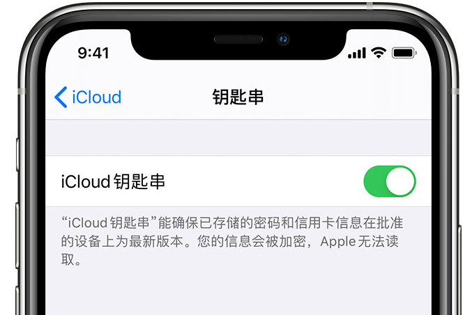 牡丹苹果手机维修分享在 iPhone 上开启 iCloud 钥匙串之后会储存哪些信息 