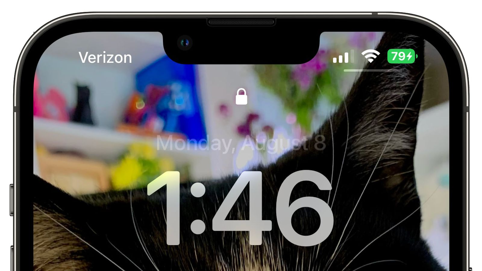 牡丹苹果手机维修分享iOS 16 beta 5 支持状态栏显示电池百分比，如何开启？支持哪些机型 