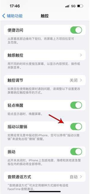 牡丹苹果手机维修分享iPhone手机如何设置摇一摇删除文字 