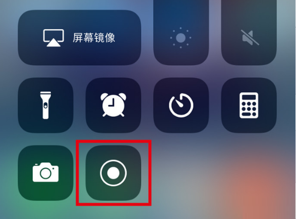 牡丹苹果手机维修分享iPhone12录屏方法教程 